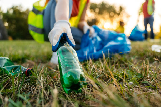 Best Yard Cleanup Services  in Townsend, MT
